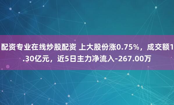配资专业在线炒股配资 上大股份涨0.75%，成交额1.30亿元，近5日主力净流入-267.00万